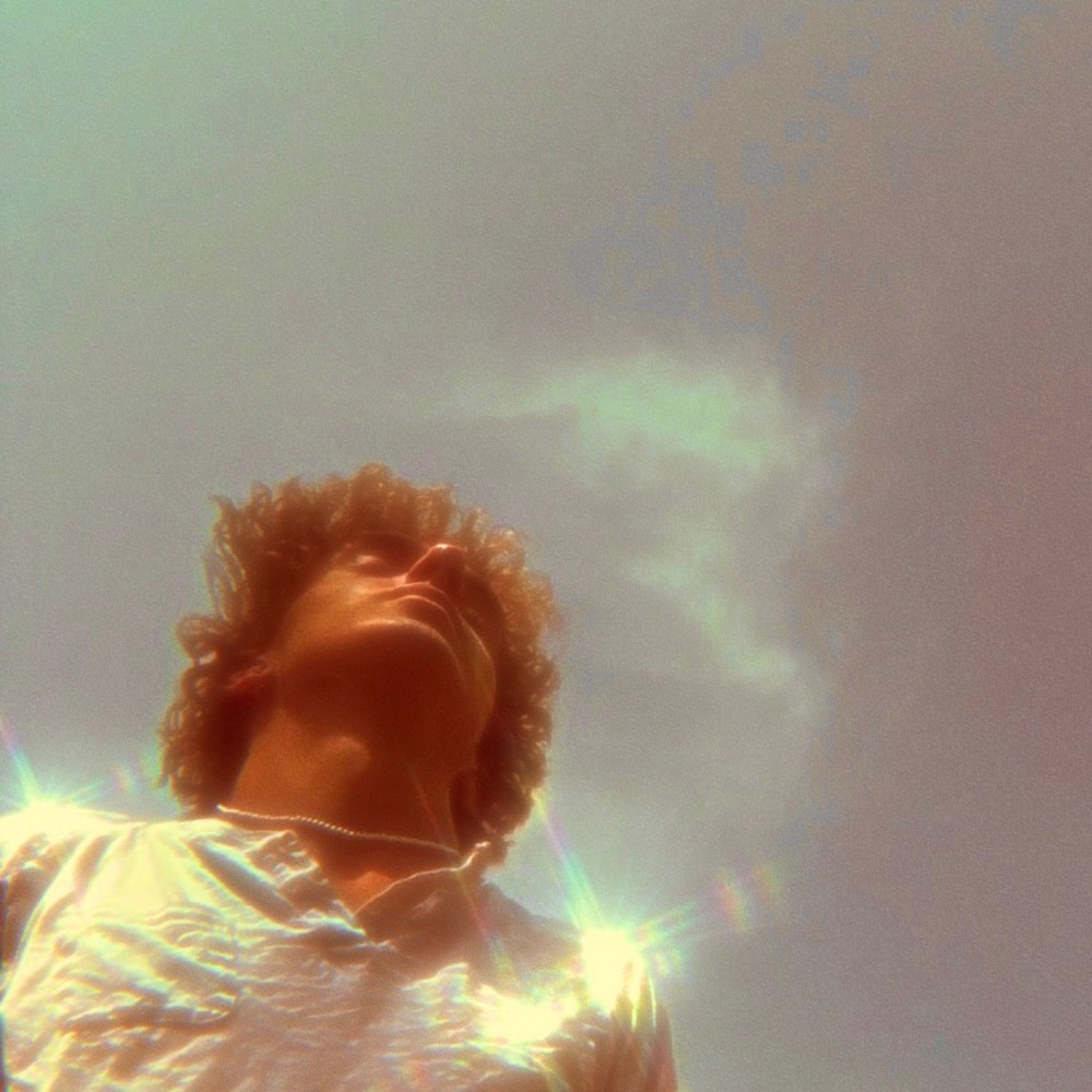 Meet your Posher, Damon